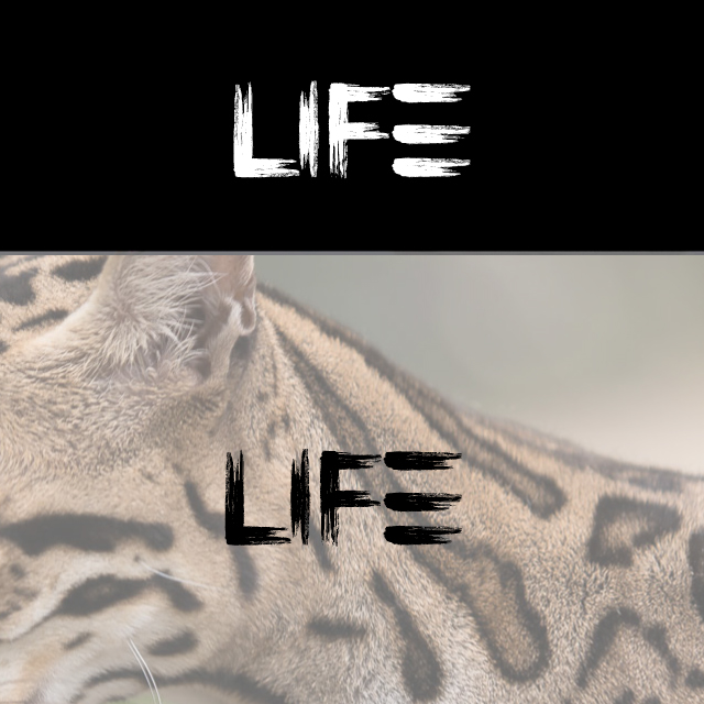 image_not_found